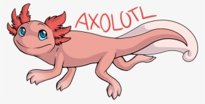 Axolotl By Jedimastermossfur On Deviantart - Axolotl Drawing #2752138