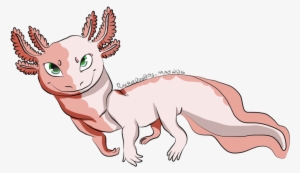 Graphic Library Download Markings By Axolotl Isle - Cartoon #2752834