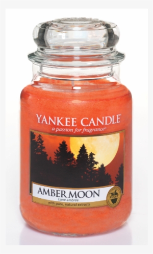 Amber Moon Large Jar - Candy Cane Yankee Candle #2754080