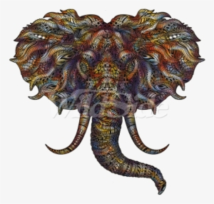 Elephant Paisley Pattern - T-shirt #2754801