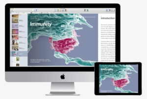 Ibooks Author Support #2757099