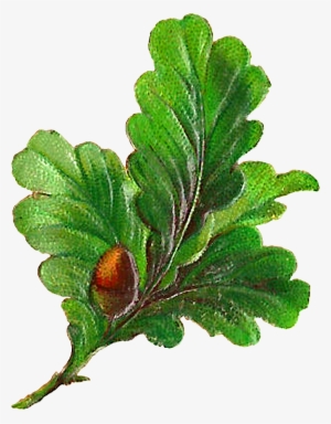 Digital Botanical Leaves Clip Art Downloads - Clip Art #2761985