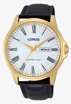Lorus Mens Stainless Steel Brown Leather Strap Rxn11dx9 #2763378