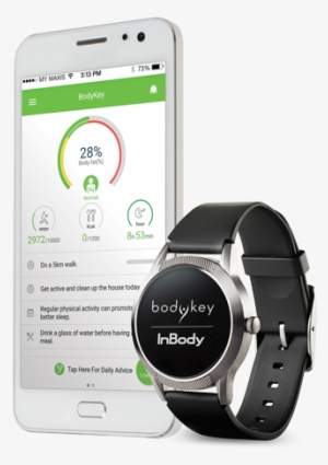 Bodykey Mobile App Inbodywatch - Bodykey Watch #2763663