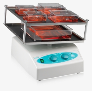 Problot™ Rocker 25 And 25xl High Capacity Bench Rocker - Western Blot Rocker #2763710