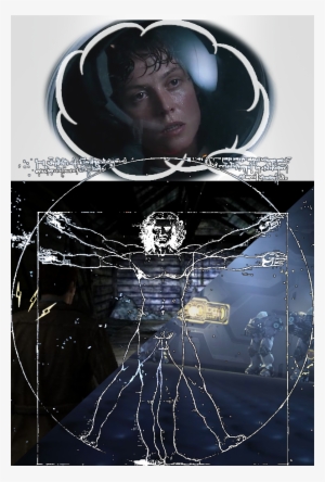 Inspiration - Muséum. Roman #2764349