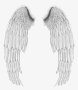 Realistic Wings Png Psd Detail - Petronas Towers - Free Transparent PNG ...