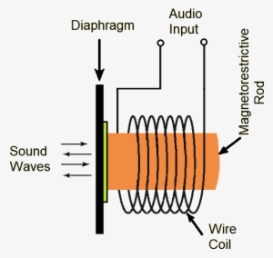 Magnetostrictive Loudspeaker Magnetostrictive - Loudspeaker #2764907