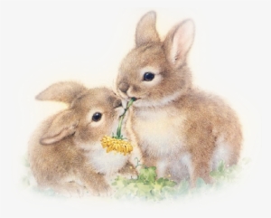 Cute Illustration, Easter Bunny, Baby Bunnies, Bunny - 2 Bunnies #2764935