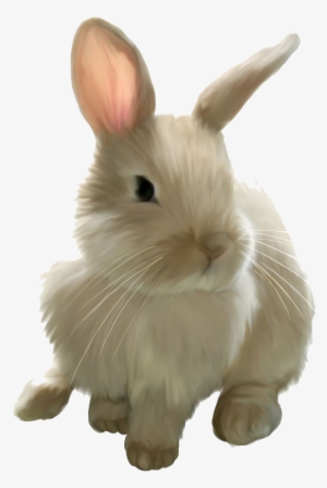 Easter Rabbit Png Image - Baby Bunny Transparent Background #2764946