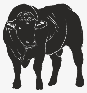 Bull Silhouette Black - Bull 5'x7'area Rug #2765967