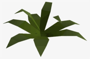 Fern Built - Wiki #2767462