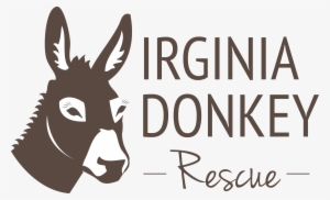 Donkey For Sale In Virginia Beach #2767522
