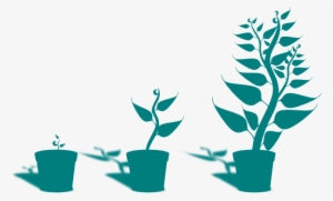 Plants Clipart Small Plant - Getting To Know Plants #2767740