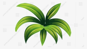 Small Plant #2767791 Small Plant #2767791