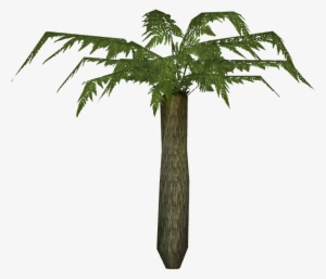 Small Tree Fern - Искусственные Пальмы #2767852