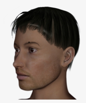 Mole In The Eyebrows - Asian Triangle Eyebrows #2768999