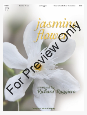 Jasmine Flower Thumbnail Jasmine Flower Thumbnail #2769316