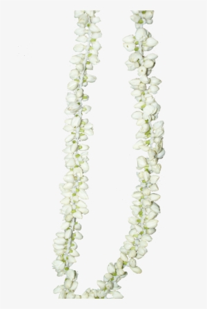 Untill I Saw Beside Those Jasmine Buds, Her Name Again - Jasmine Flower In Malayalam #2769563