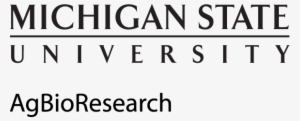 Black Logo - Michigan State University #2769781