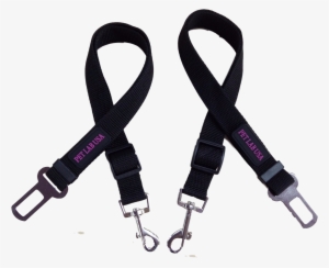 2-3 Feet Long Dog Seat Belt - Dog Seat Belt Png #2769840