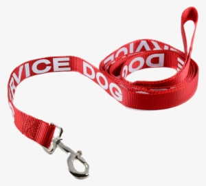 Service Dog Leash - Service Dog #2769874