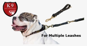 Short Pull Tab Leash - Short Leash Png #2769915