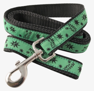 Dog Leash Photo - Dog #2770024