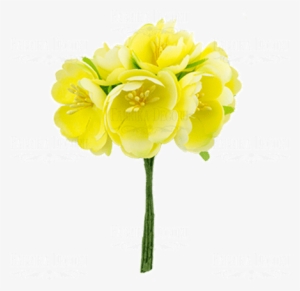 Julia Child Rose #2770074