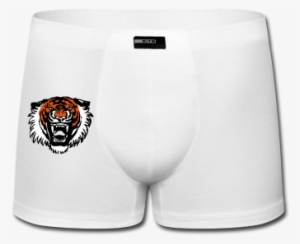 Roaring Tiger By Cherful Madness Suitable For Plot - Kelaminbesar #2770159