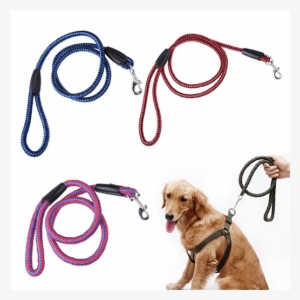 Round Nylon Dog Leash 5 Feet - [cross] ペット 犬 中型犬 大型犬 ハーネス リード セット 胴輪 頑丈 ロープ 介護 (ブルー,l) #2770259