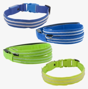 Bargain Sale Shop The Led Lite Up Leash & Collar #2770321
