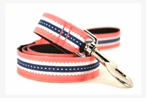 Discontinued Navy Scallop Dog Leash - Buckle #2770343