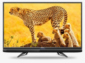 Intex Led 3222 Hd Television - Intex Led Tv 32 Inch Price In India #2770835