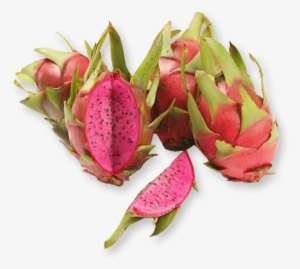 Fire Breathing Dragons - Purple Dragon Fruit #2771093