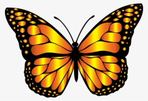 Flying Butterfly Drawing At Getdrawings - Butterfly Clip Art #2772244