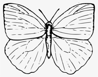 Easy Butterfly Drawings Butterfly Outline Clip Art - Butterfly Clip Art #2772722