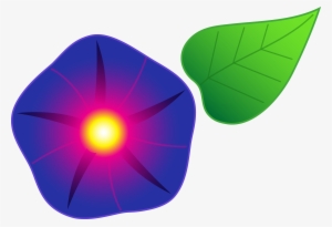Morning Glory Flower Clipart #2773490