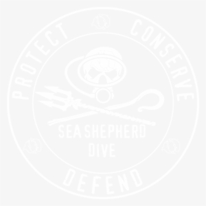 Sea Shepherd Dive #2773914
