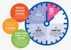 Clock-image - Medaille 1 Tekening #2774154