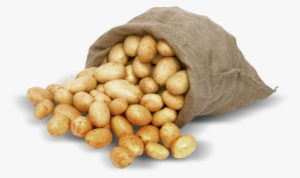 Istock 000017472664small - Russet Burbank Potato #2774361