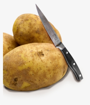 Emergency Essentials Freeze Dried Potato Dices Can #2774452