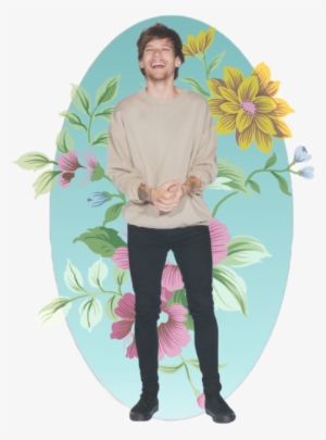 Harry Styles Transparent Png - Transparent Louis Tomlinson Png 2017 #2775053