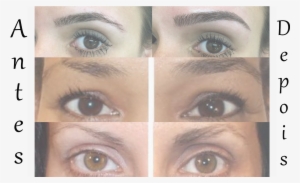 Como Fazer A Sobrancelha Falhada Crescer - Eye Liner #2776213 Como Fazer A Sobrancelha Falhada Crescer - Eye Liner #2776213