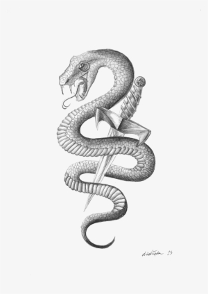 Snake Tattoo Png Image Background - Snakes Images For Tattoos #2778602