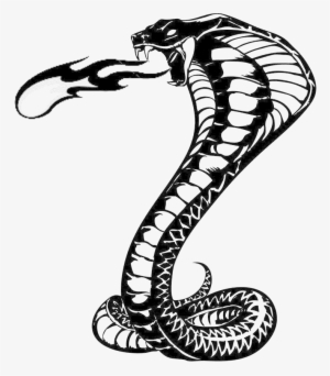 Snake Tattoo Png Background Image - Blackstone Labs King Cobra (60 Capsules) #2778633