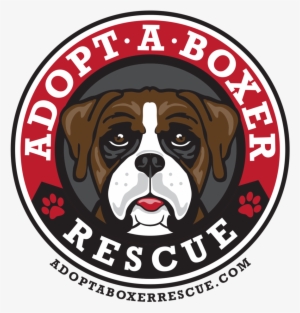 Adpot A Boxer Rescue - Boxer #2778816