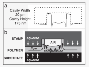 Afm Height Profile For A Partially Filled Rectangular - Diagram #2778867