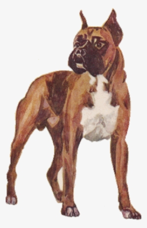 Vintage Clip Art Dogs Boxer - Boxer #2779001