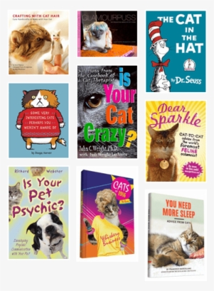 Cat In The Hat Book #2779155